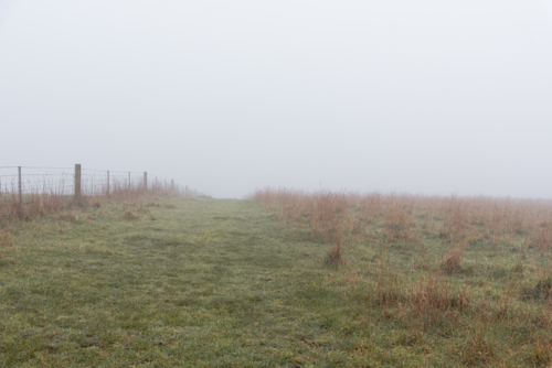 Rural grassy hill in the winter mist with fence - Australian Stock Image