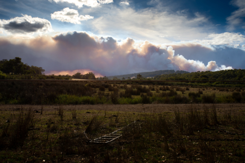 Rural Paddock Scene on an afternoon with bushfire smoke on horizon