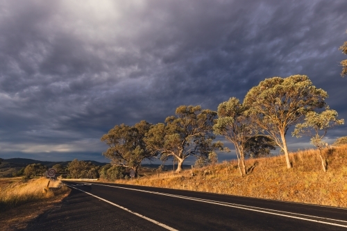 Rural road lined with gum trees on cloudy day - Australian Stock Image