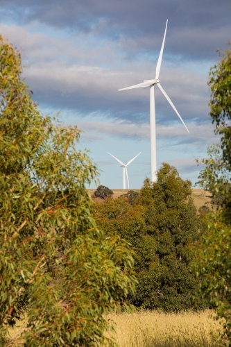 Rural Wind Turbines in a countryside setting - Australian Stock Image