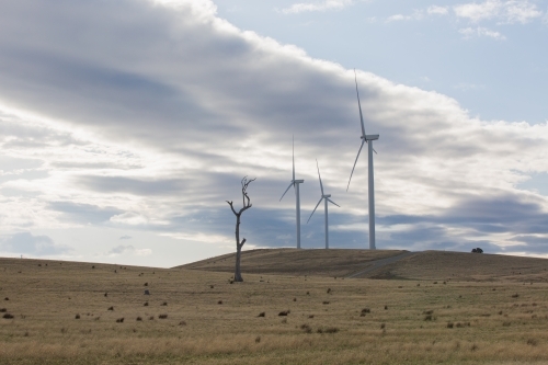 Rural Wind Turbines in a farm setting - Australian Stock Image