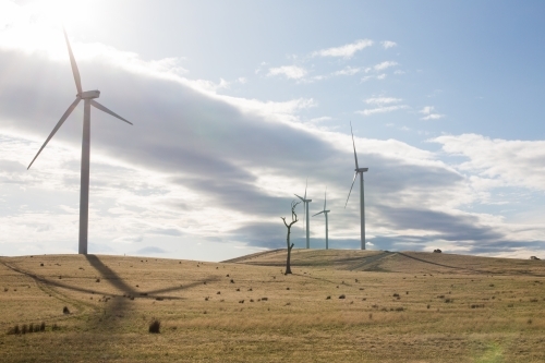 Rural Wind Turbines in a farm setting - Australian Stock Image