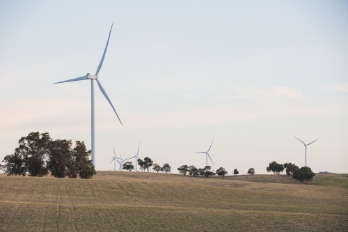 Rural Wind Turbines in a farm setting with evening sunlight across the paddocks - Australian Stock Image