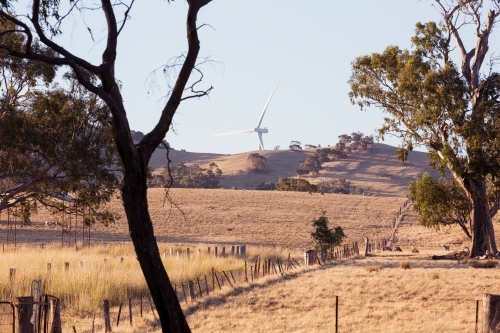 Rural Wind Turbines in a farm setting with evening sunlight across the paddocks - Australian Stock Image