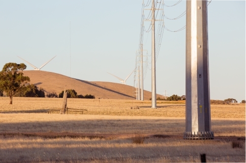 Rural Wind Turbines in a farm setting with powerlines in the foreground - Australian Stock Image