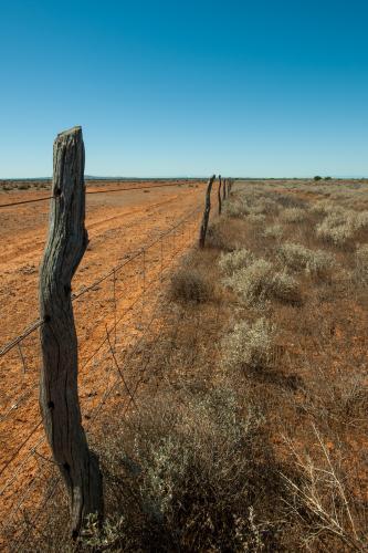 rustic fence in outback South Australia