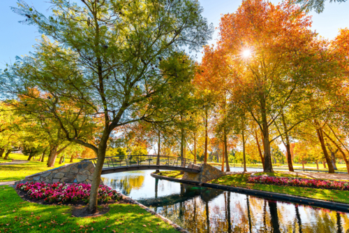 Rymill Park with bridge over the pond in Adelaide city on a sunny autumn day - Australian Stock Image