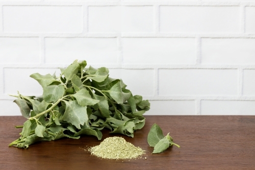 Salt bush leaves and dried saltbush on wooden bench - Australian Stock Image