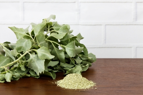 Saltbush on dark wooden counter with white brick background - Australian Stock Image