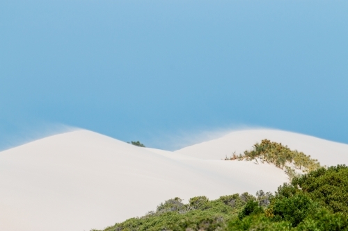 sand drifting on white dunes under blue sky - Australian Stock Image