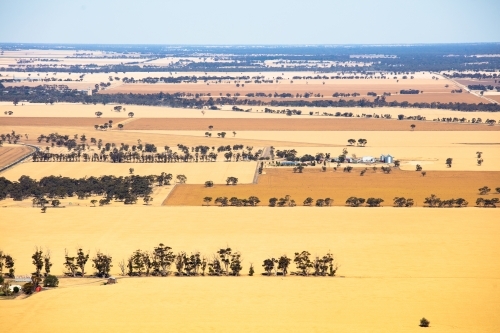 Scenic view across the Wimmera area of Western Victoria - Australian Stock Image