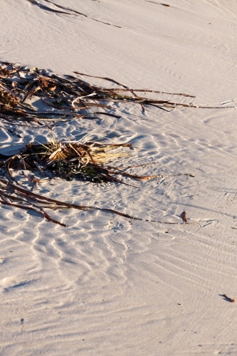 seaweed and rippled sand on beach - Australian Stock Image