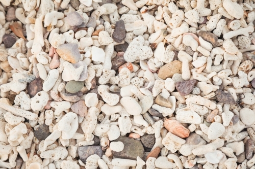 Section of coral covered beach close up - Australian Stock Image