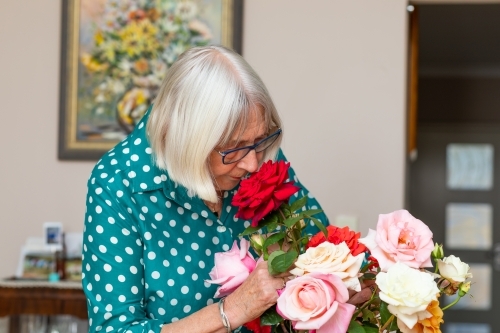 senior lady sniffing roses in vase - Australian Stock Image