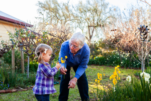 Senior woman with her granddaughter in the garden - Australian Stock Image