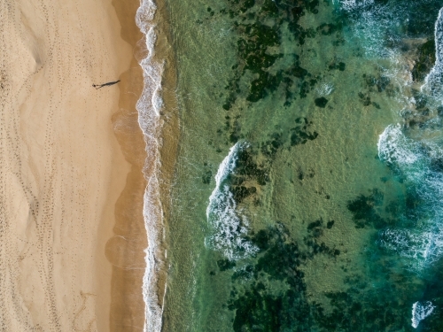Shadow of person walking along beach with green ocean water and golden sand - Australian Stock Image