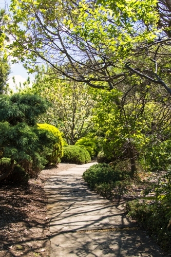 Shady path winding through a garden - Australian Stock Image