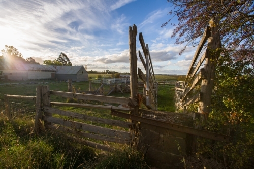 Sheep run and farm in late afternoon light - Australian Stock Image