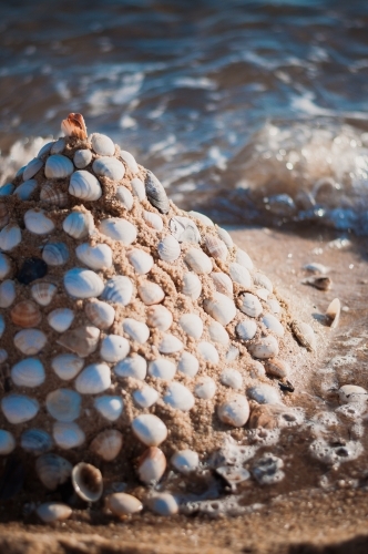 Shell Sculpture, Brighton Beach, Melbourne - Australian Stock Image