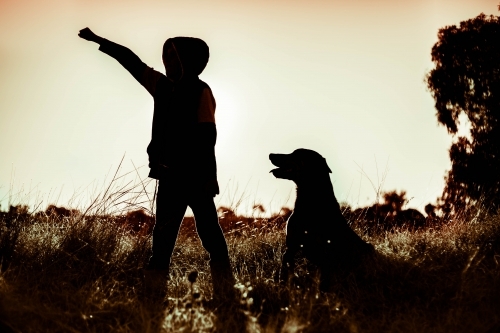 Silhouette of boy and dog - Australian Stock Image