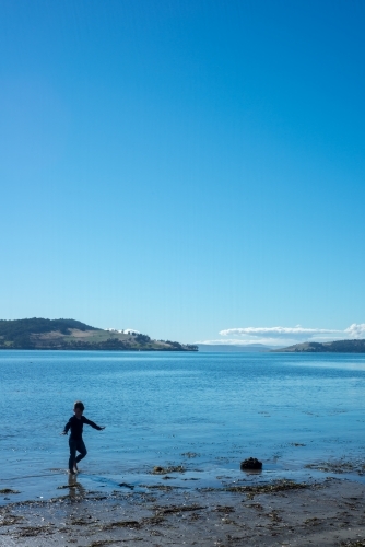 Silhouette of by playing in shallows at beach - Australian Stock Image