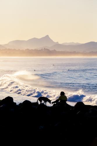 Silhouette of person and dog on rocks watching surfers at Byron Bay - Australian Stock Image
