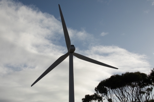 Silhouette of wind turbine blades and tree against sky.