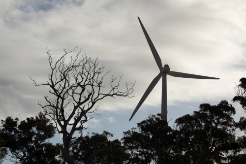 Silhouette of wind turbine blades and tree against sky. - Australian Stock Image