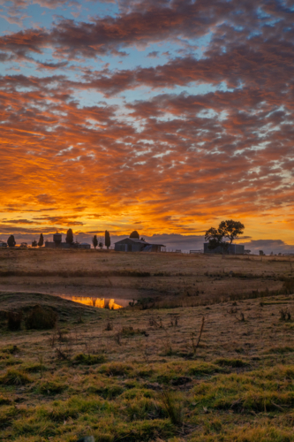 Silhouettes of a building and trees under an orange dawn sky - Australian Stock Image