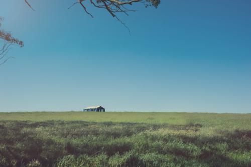 single tent on a hill in a green field - Australian Stock Image