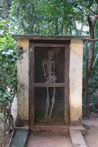 Skeleton inside the shed in the forest. - Australian Stock Image