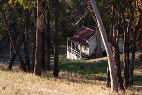 Small cottage situated among the gum trees - Australian Stock Image