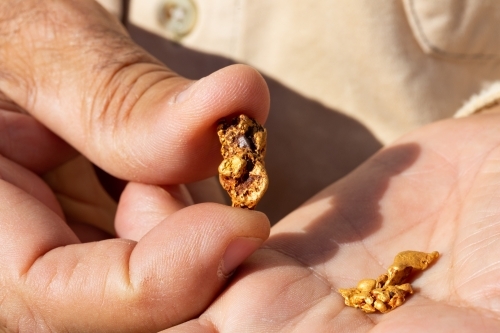 small gold nugget held between thumb and forefinger - Australian Stock Image