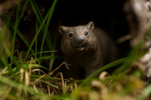 Small wombat figurine on forest floor - Australian Stock Image