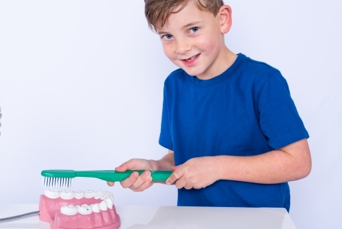 Smiling boy brushing teeth on a tooth model - Australian Stock Image