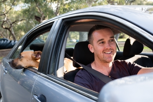 Smiling Man Driving Car with Dog Sticking it's Head out Window - Australian Stock Image