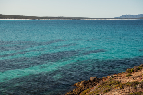 Snorkeler enjoying the waters off Point Ann - Australian Stock Image