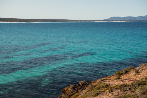 Snorkler enjoying the waters off Point Ann - Australian Stock Image