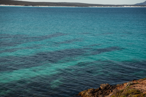 Snorkler enjoying the waters off Point Ann - Australian Stock Image