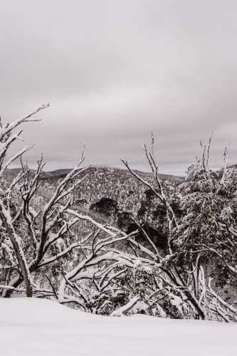 snowy mountain - Australian Stock Image