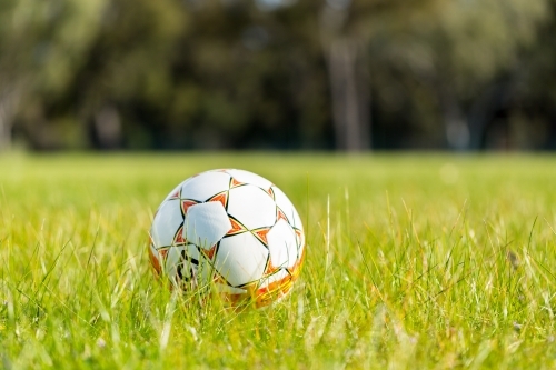 Soccer ball in grass