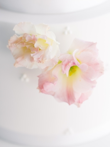 Soft Flower Blooms on a Wedding Cake - Australian Stock Image