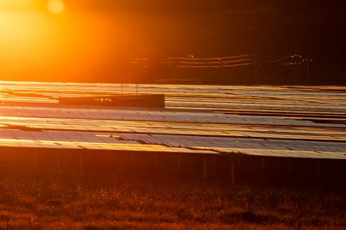 Solar farm panels reflecting the sunset colours - Australian Stock Image