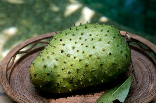 Soursop fruit on a plate - Australian Stock Image