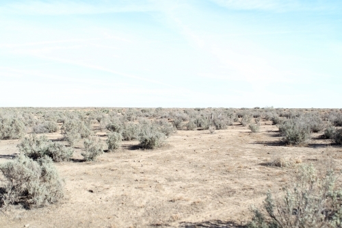 Sparse landscape - Australian Stock Image