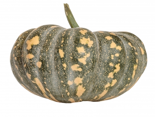 Speckled pumpkin on white background - Australian Stock Image