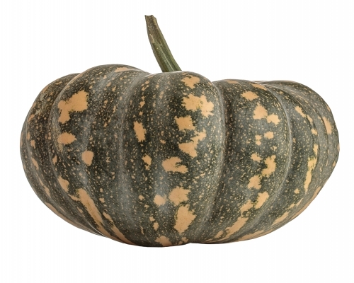 Speckled pumpkin on white background - Australian Stock Image