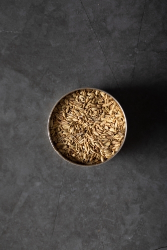 Spice tin of fennel seeds on dark background - Australian Stock Image