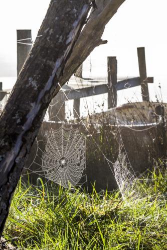 Spider webs glisten in the morning light beside a jetty and small dingy - Australian Stock Image