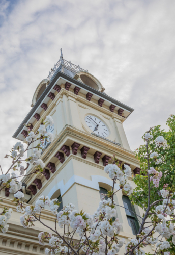 Spring blooms framing an old country post office underneath cloudy skies - Australian Stock Image
